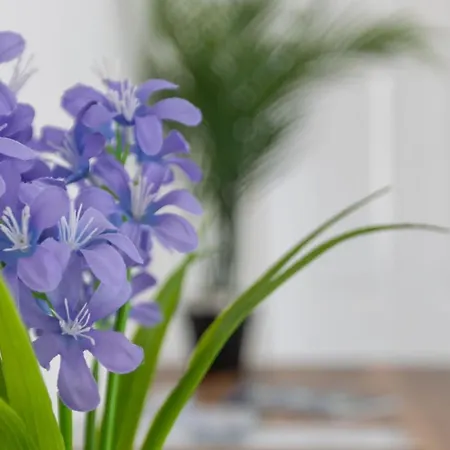 Coastal Escape Close To North Bay- Pet Friendly Hébergement de vacances